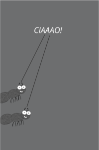 Il libro sbagliato