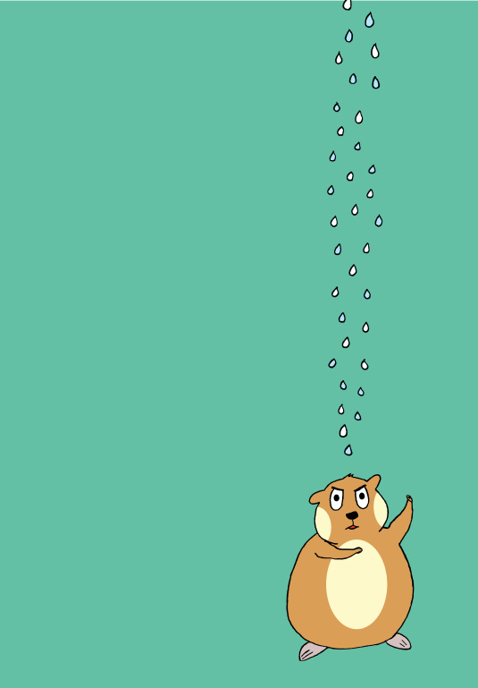 Il mio libro più bello - un libro divertente per bambin