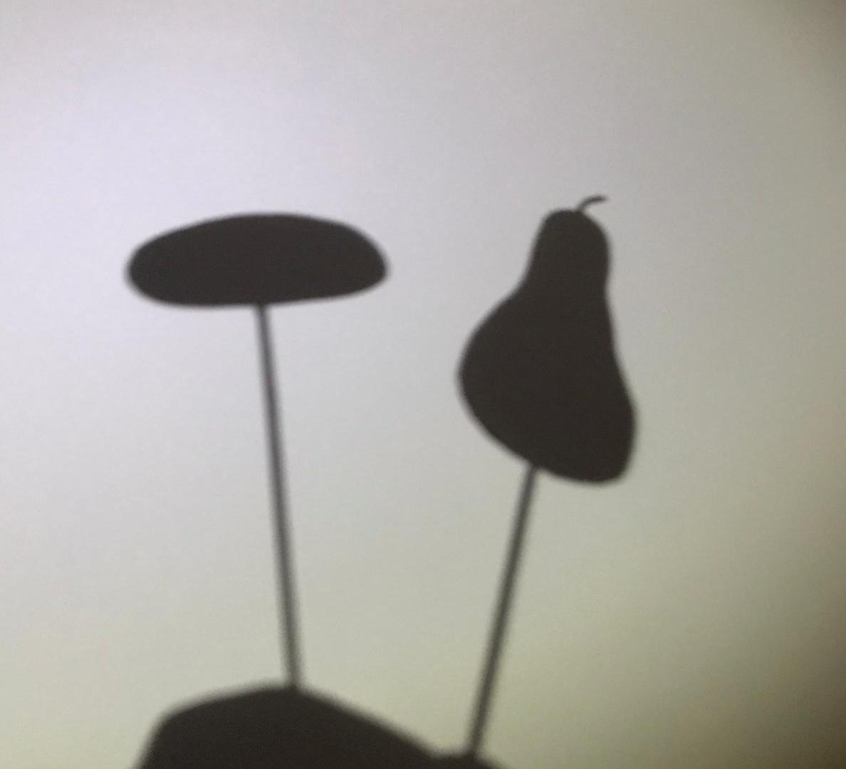 Il teatrino delle ombre di Scuoti questo libro